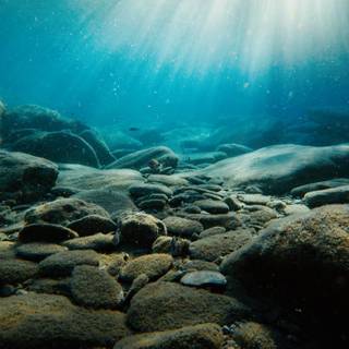 iPhone underwater photography wallpaper