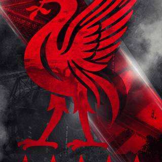 Liverpool phone 4K wallpaper