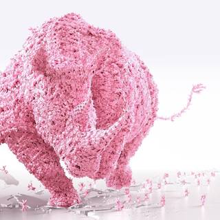 Desktop rhino 1920x1080 wallpaper