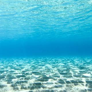 iPhone underwater photography wallpaper