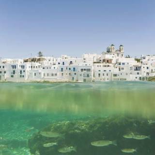 iPhone underwater photography wallpaper