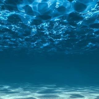 iPhone underwater photography wallpaper