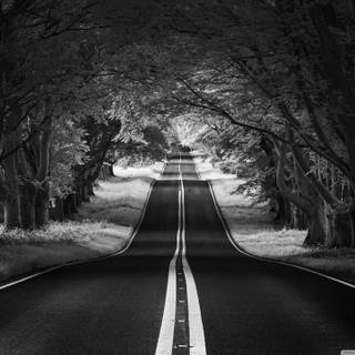 Black and white aesthetic PC wallpaper