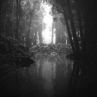 Black and white aesthetic PC wallpaper