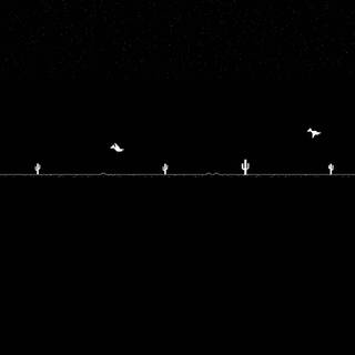 Black and white aesthetic PC wallpaper