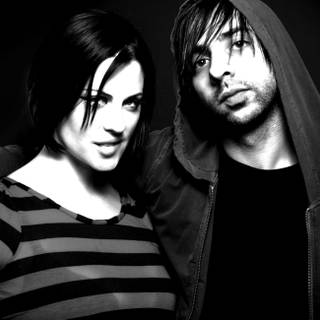 The Distillers wallpaper