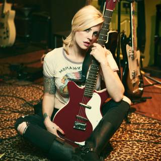 The Distillers wallpaper