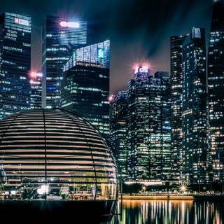 4k night life wallpaper