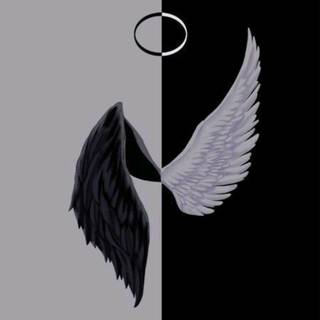 iPhone 4k black and white wallpaper