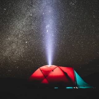 4k night life wallpaper