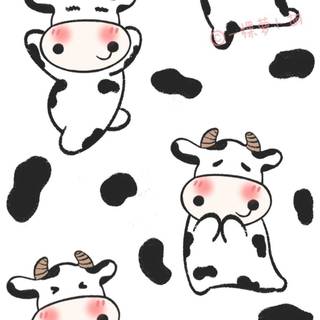 Cow phone wallpaper