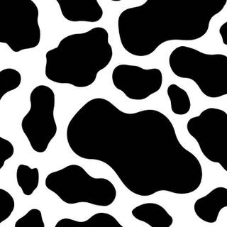 Cow phone wallpaper