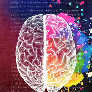 Brain iPhone wallpaper