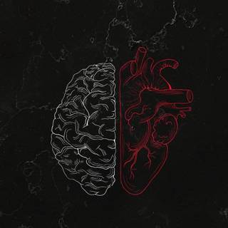 Brain iPhone wallpaper