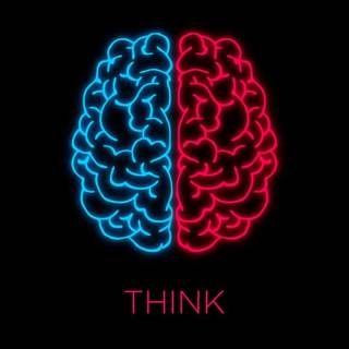 Brain iPhone wallpaper