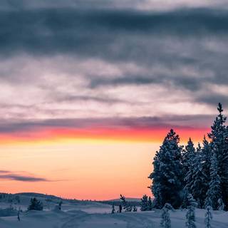 Warm phone wallpaper