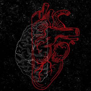 Brain iPhone wallpaper