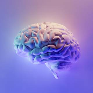 Brain iPhone wallpaper