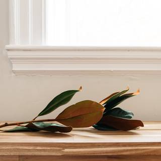 Warm phone wallpaper