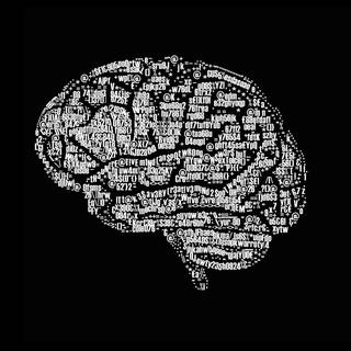 Brain iPhone wallpaper