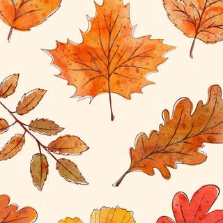 Warm phone wallpaper