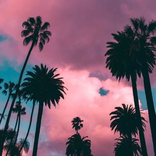 California phone wallpaper