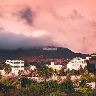 California phone wallpaper