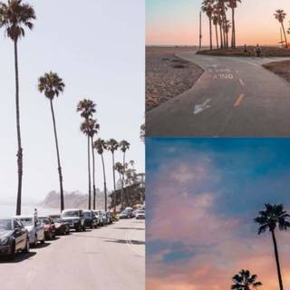 California phone wallpaper