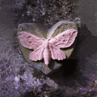 Melanie Martinez Halloween wallpaper