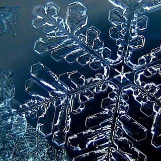 Snowflake phone wallpaper