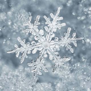 Snowflake phone wallpaper