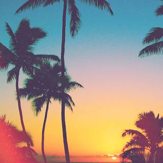 California phone wallpaper