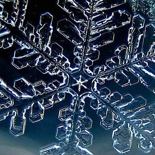 Snowflake phone wallpaper