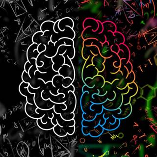 Brain iPhone wallpaper