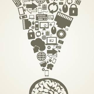 Brain iPhone wallpaper