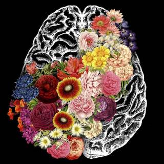 Brain iPhone wallpaper