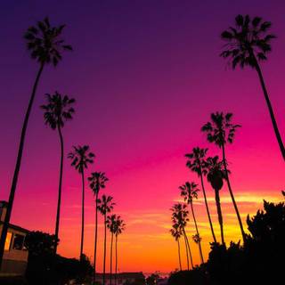 California phone wallpaper