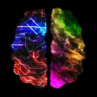 Brain iPhone wallpaper