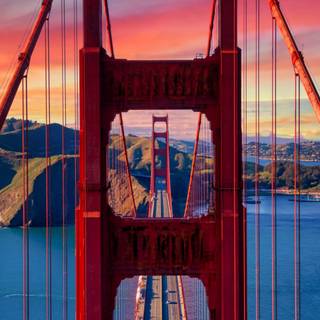 California phone wallpaper