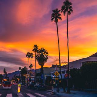 California phone wallpaper