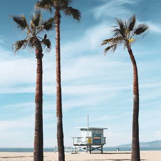 California phone wallpaper