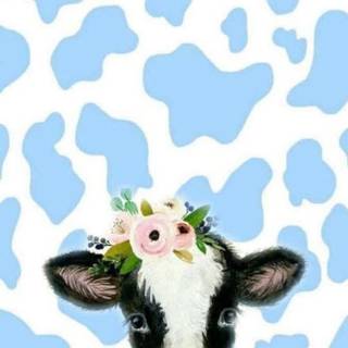Cow phone wallpaper