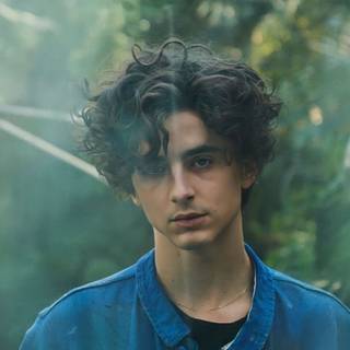 Timothee Chalamet iPhone wallpaper