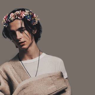 Timothee Chalamet iPhone wallpaper