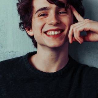 Timothee Chalamet iPhone wallpaper