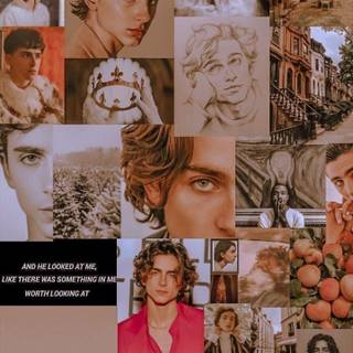 Timothee Chalamet iPhone wallpaper
