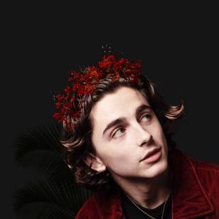 Timothee Chalamet iPhone wallpaper