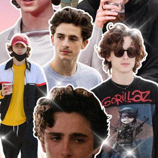 Timothee Chalamet iPhone wallpaper