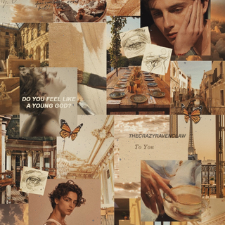 Timothee Chalamet iPhone wallpaper