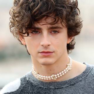 Timothee Chalamet iPhone wallpaper